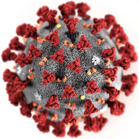 德国科学家发现症状较轻的患者也能够传播新型冠状病毒